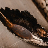 AKMENS LAIVA - KurGuni - KurGuni